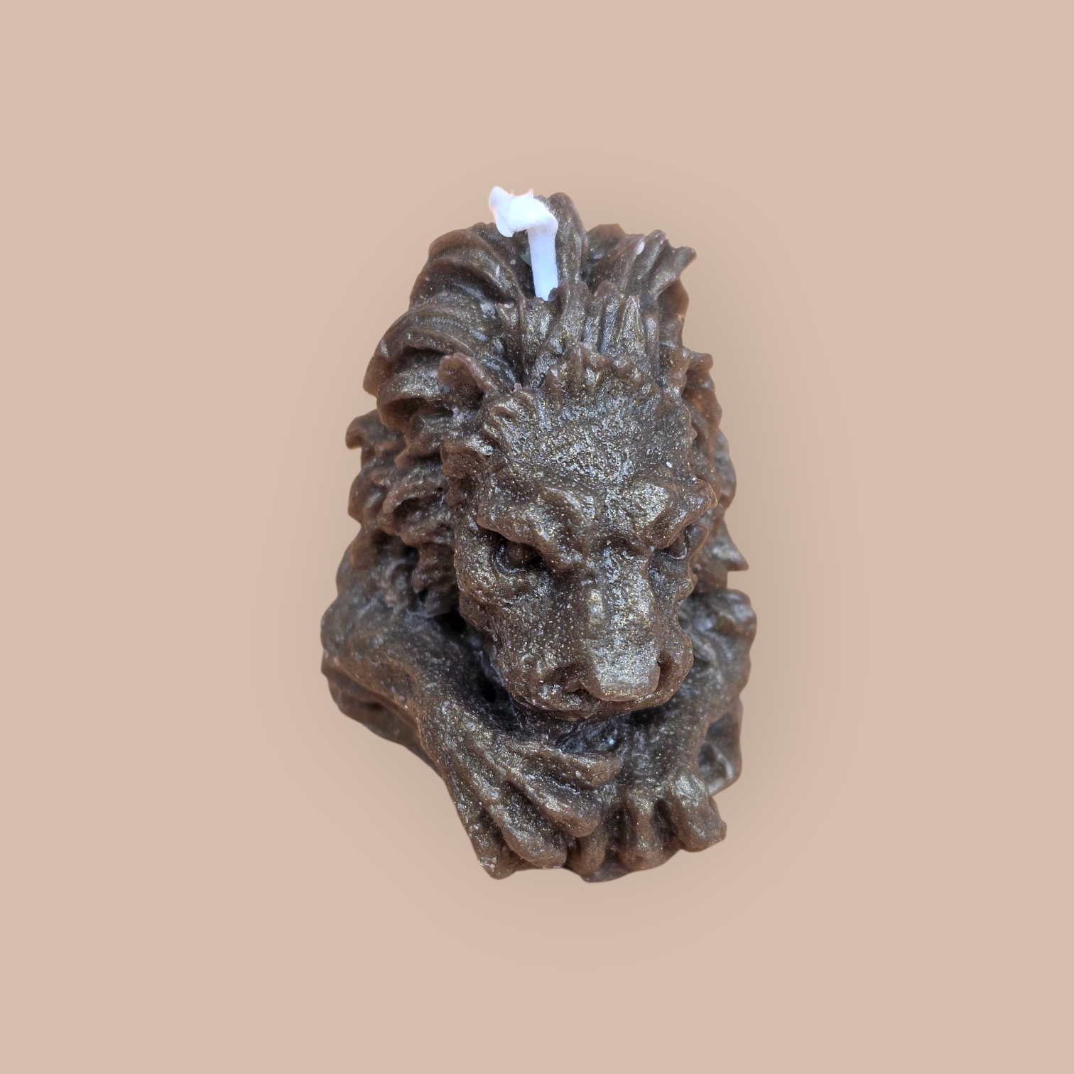 23 the watchful lion