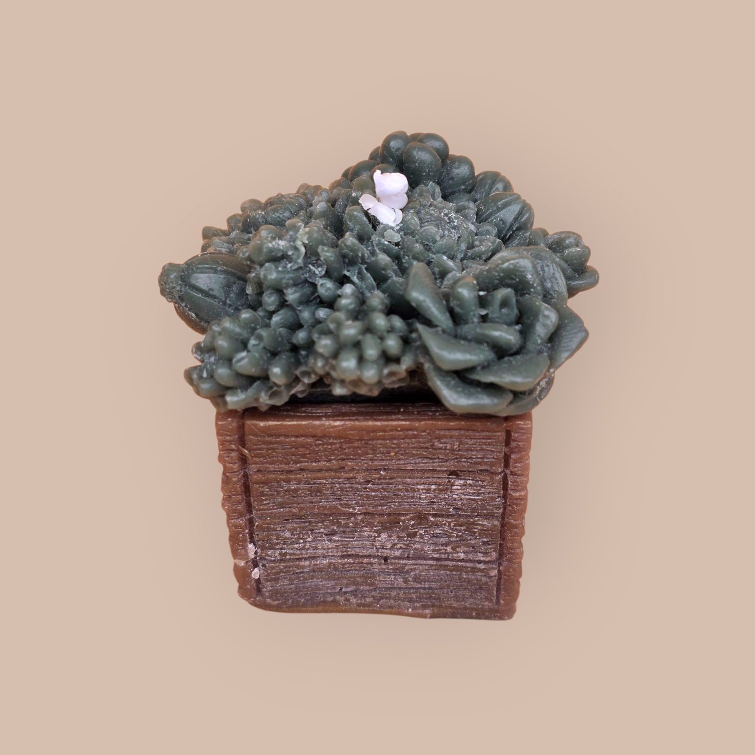 40 botanical cube candle (3)