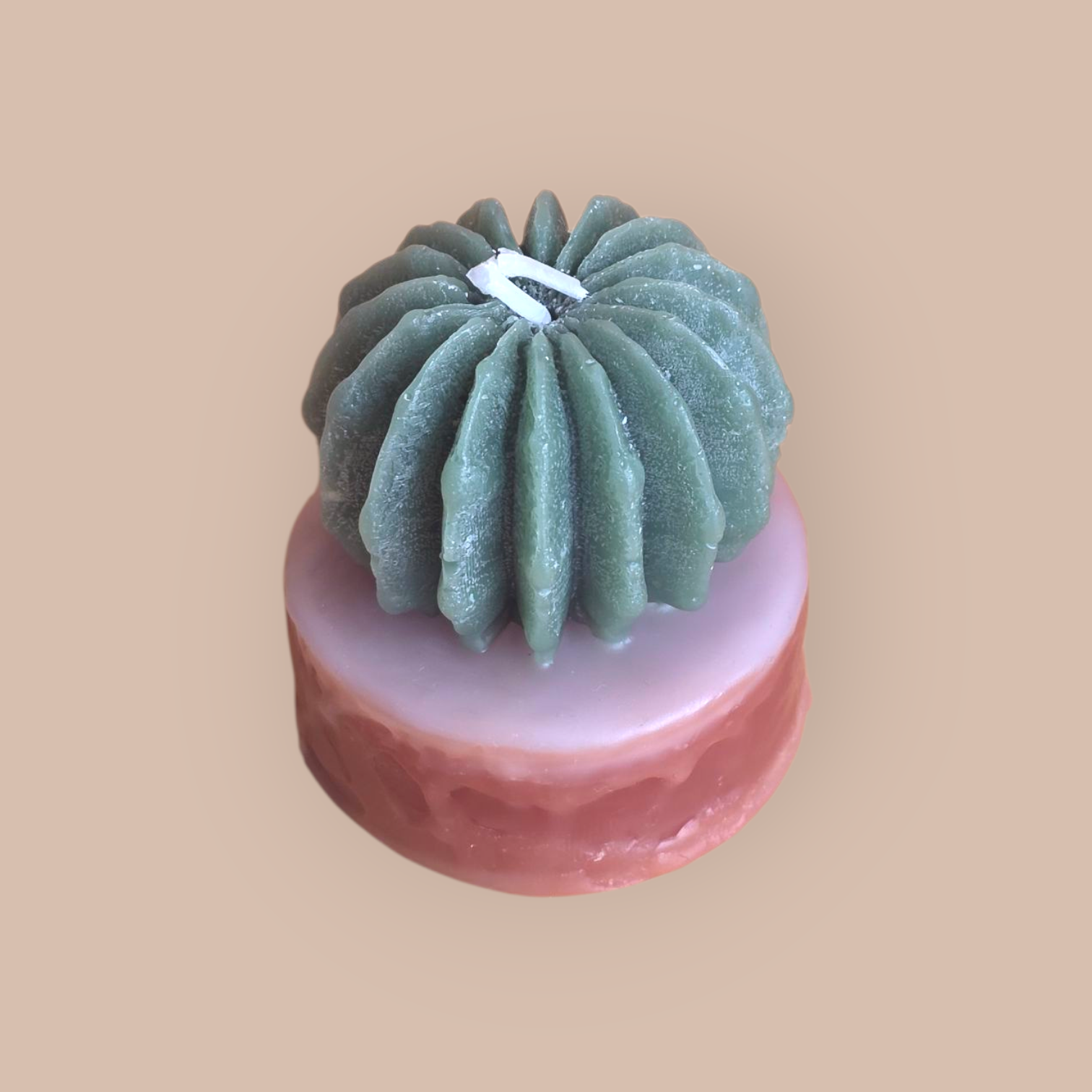 Cactus Kiss