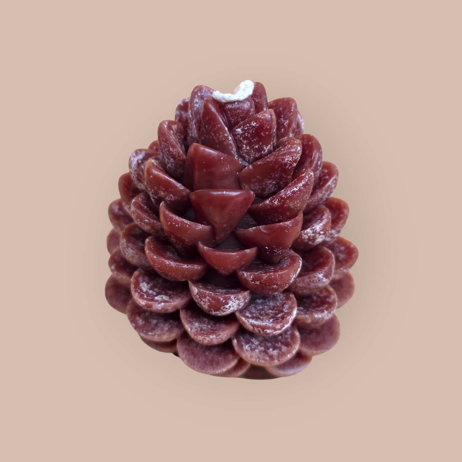 5 frosted big pinecone