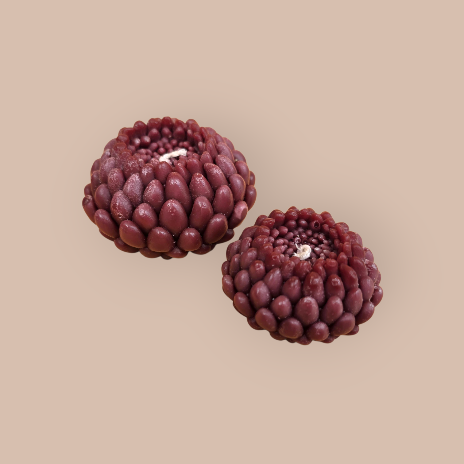 50 eternal blossom set